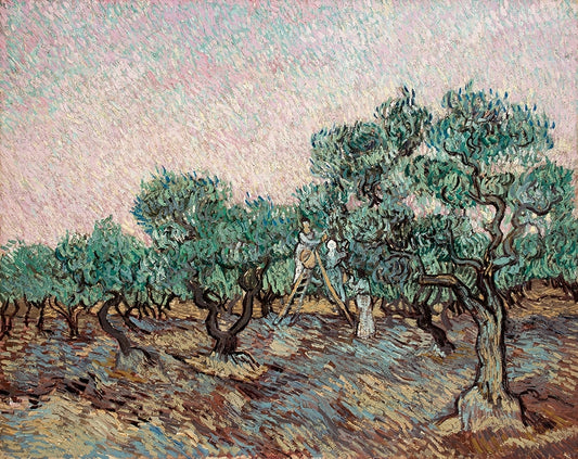 Van Gogh (Olive Picking) La Racolte D'Olive