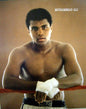 Muhammad Ali Ropes Mini Poster